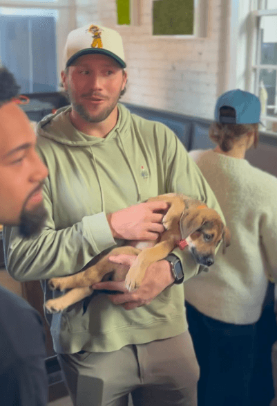 Josh Allen Saves 19 Dogs From a Grim Fate Near Halloween – A Heartwarming Act That Melts All of Buffalo – The Shocking Rescue Location That Josh Allen Made Possible