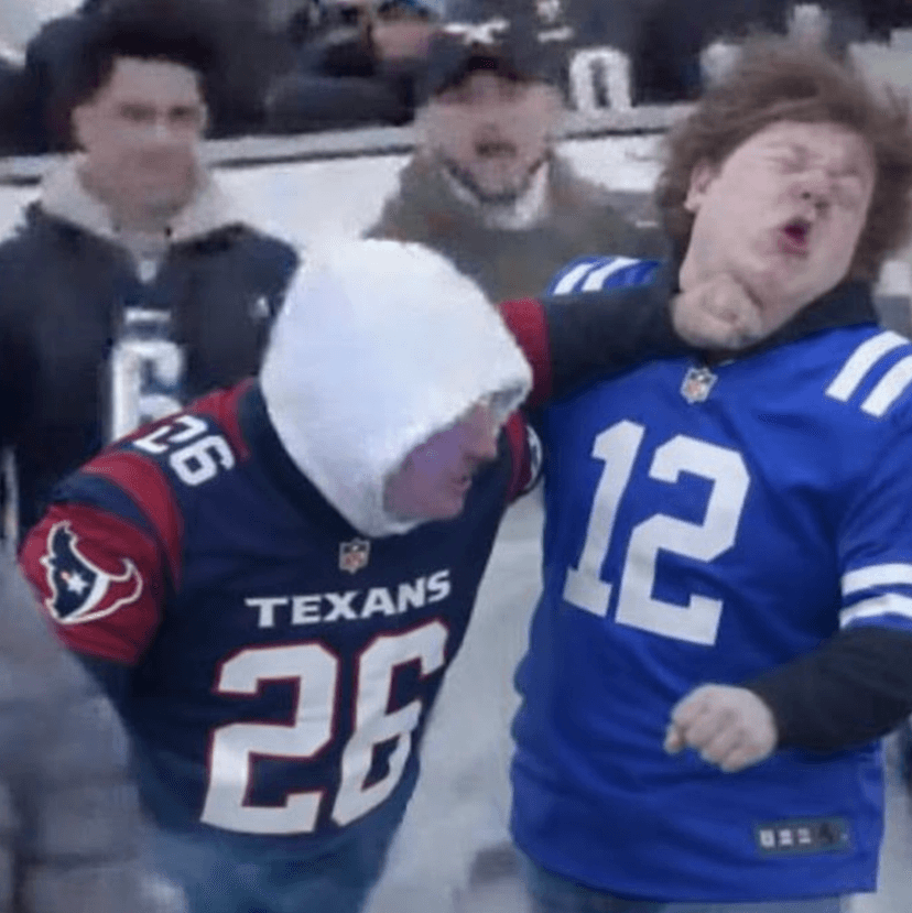 A Male Texans Fan Was Arrested After Allegedly Assaulting a Female Colts Supporter in the Stands at NRG Stadium During the Game