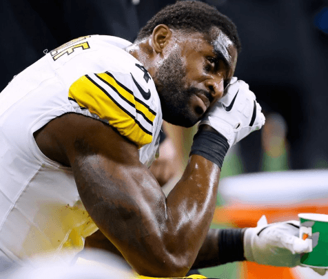 Just 12 Hours After DK Metcalf Scandal, Lions Fans Attack Steelers Star Facing $100,000 Fine and 1 Year in Prison – 50GB of Leaked Data on “Harass the Star” Plan Sparks Outrage Across NFL