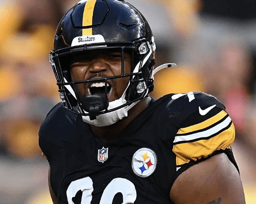 From Doubts About His Form to the Decisive Moment That Propelled Steelers to the Playoffs — Steelers' "Unsung Hero" Shines Brilliantly in Crucial AFC North Battle