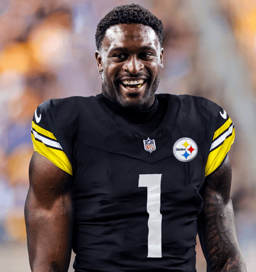 BREAKING: Just 3 Hours After NFL's Final Ruling, Steelers Receive Major Positive News on DK Metcalf Right Before Playoff Showdown with Texans