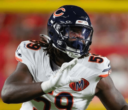 Bears Sign Promising Young DE with Over 200 Career Tackles to Replace Star Dayo Odeyingbo After Potential Career-Ending Injury