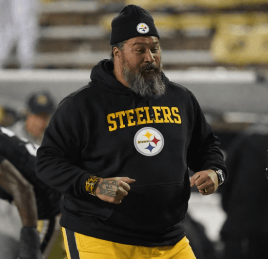Domata Peko, Legend DC in Bengals History, Arrives in Steelers and Immediately Submits Plan to Cut Two Key Defensive Names – Art Rooney’ Response Shocks the NFL